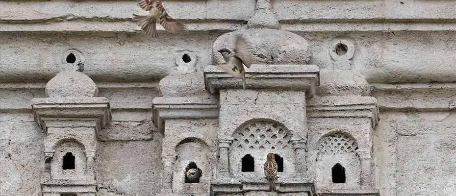 Osmanlı kuş sarayları 5 asırdır güzelliğini koruyor