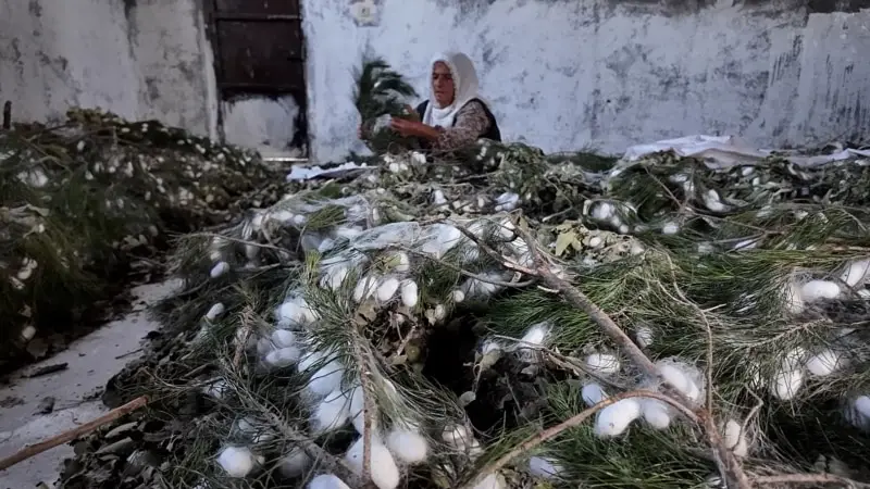 Türkiye’nin ipeği onlarca yıldır Diyarbakırlı kadınların elinden çıkıyor