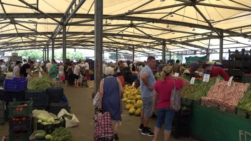 “113 liraya zeytinyağı varsa, 50 litre alacağım”