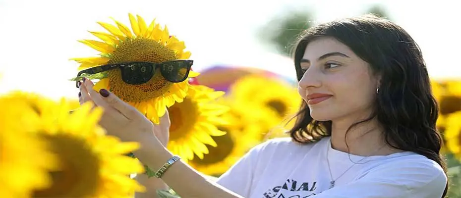 Trakya'da gündöndü tarlaları agro turizmine katkı sunuyor
