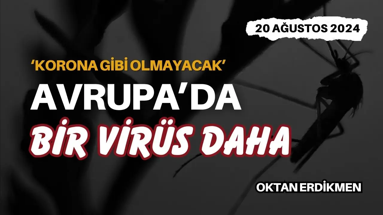 Avrupa'da bir virüs daha: Korona gibi olmaz