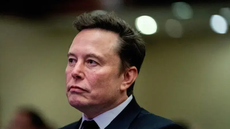 Elon Musk: “Almanya'yı sadece AfD kurtarabilir”