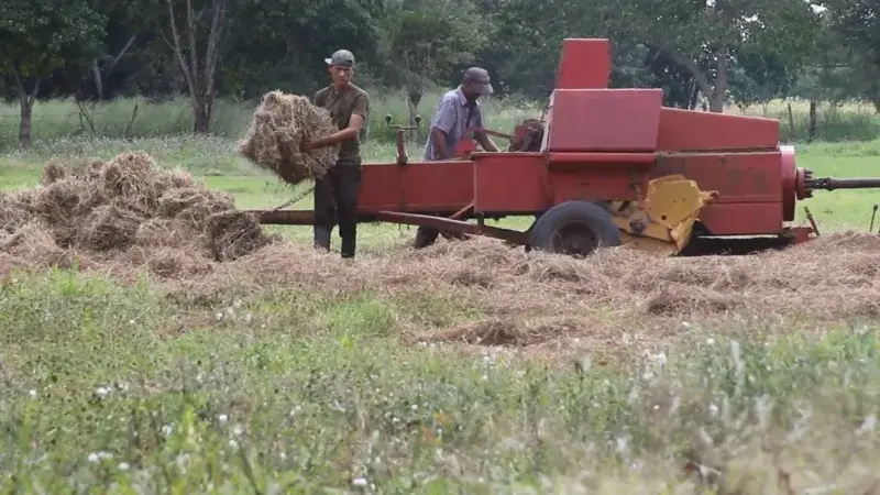 Venezuela’da ekili tarım arazileri 13 yılda yüzde 46 azaldı
