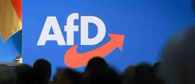 Almanya'da AfD Üyeleri İçin Kamu Görevi Başvurularında "Bireysel İnceleme" Dönemi
