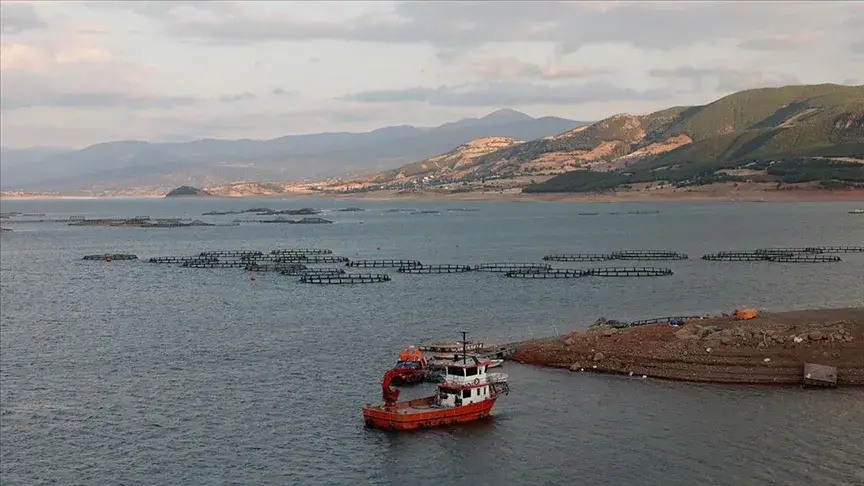 Tokat'tan Norveç, Hollanda, Rusya ve Japonya'ya balık ihracatı