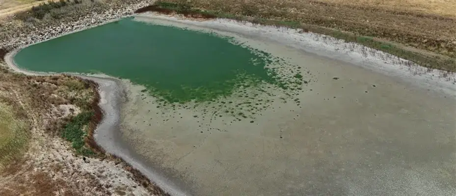 Kırklareli'nin Oruçlu Göleti kuraklık nedeniyle kuruma noktasına geldi