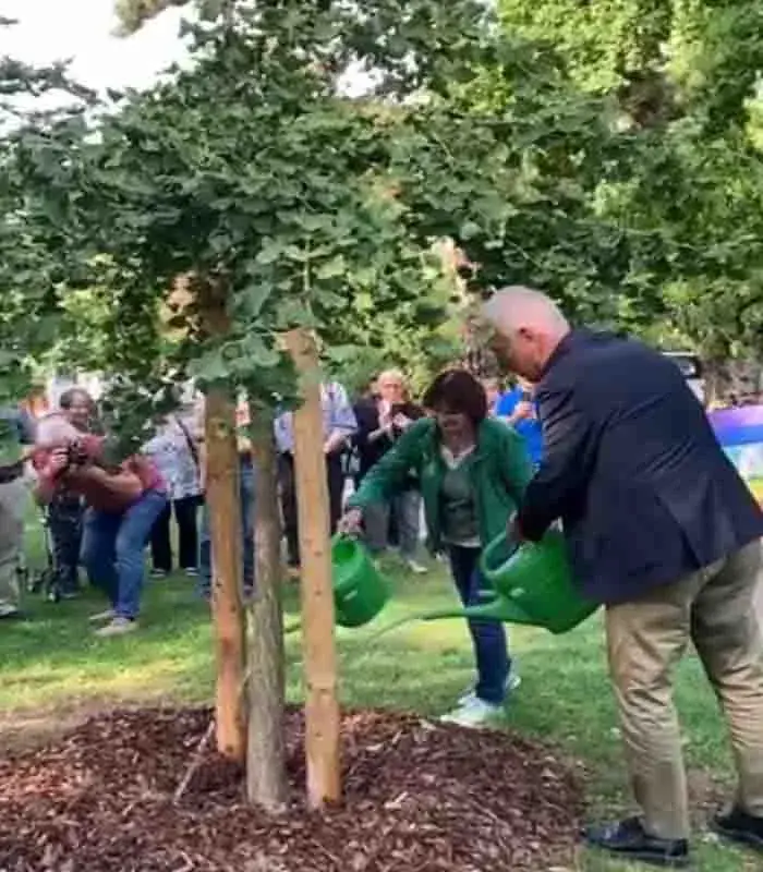 Ginkgo Ağacıyla Barışa Umut