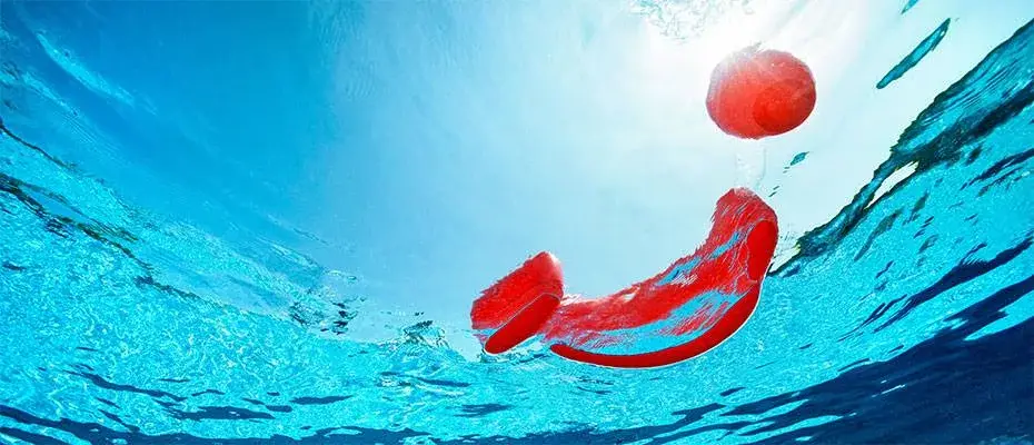 TUI iklim nötr turizm için yeniliklere odaklanıyor